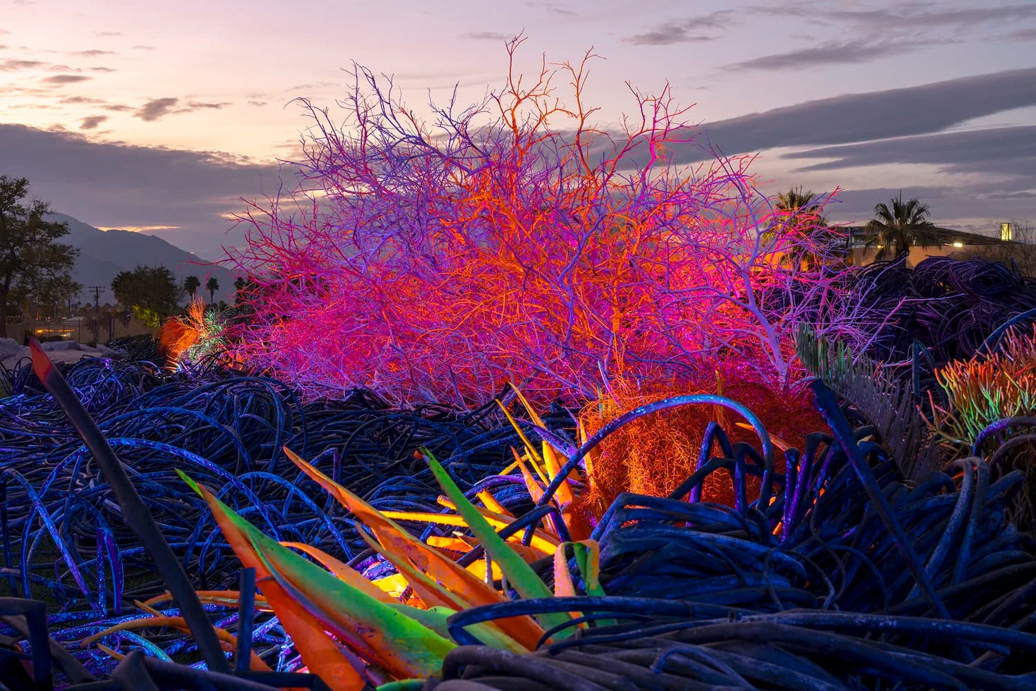 Desert Sea installation at twilight — a fluorescent orange and magenta tumbleweed-like form rises above a tangle of blue irrigation tubing and aloe in the open desert.