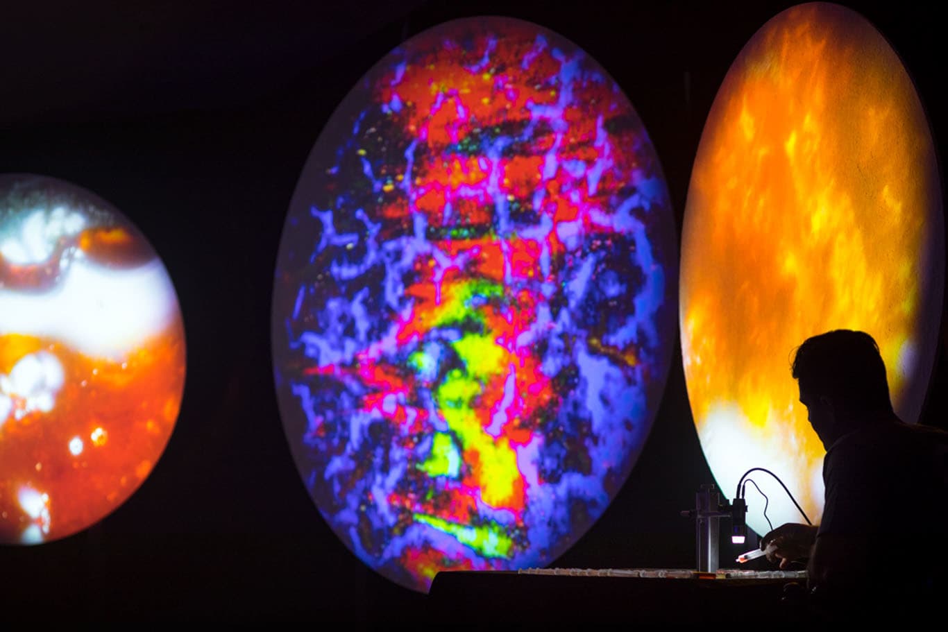 Three circular projections of fluorescent microbial imagery — orange, pink-and-blue, and luminous yellow — float in a dark room while the artist works at a console in silhouette.