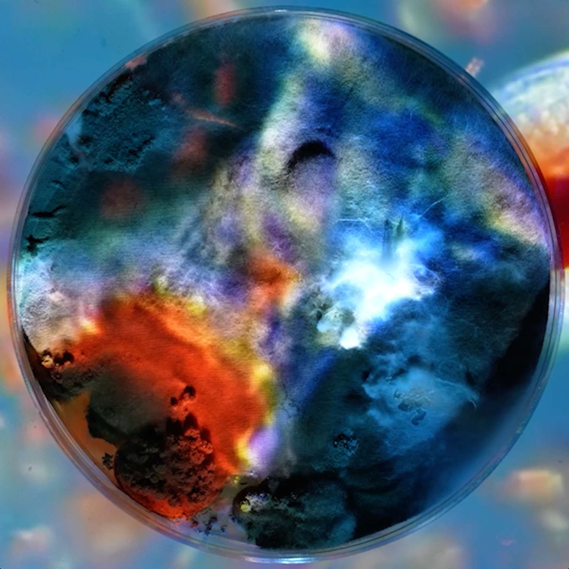 Seep — a circular petri-dish bloom of blue, orange, and luminous microbial color.